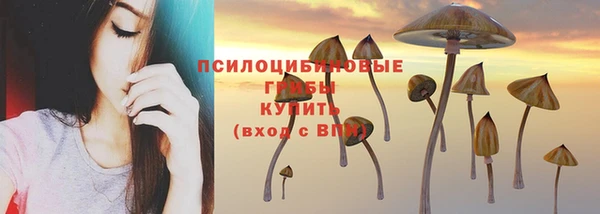 шишки Алексин