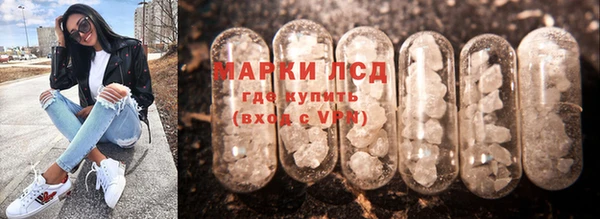 прущие грибы Алексеевка