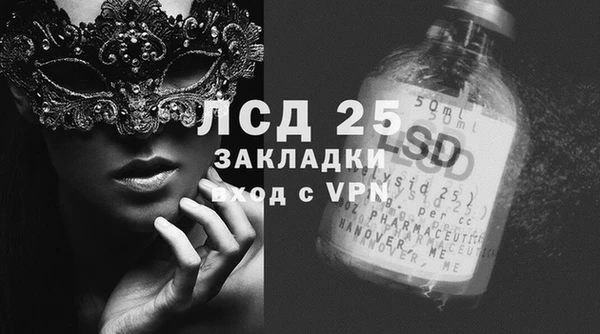 прущие грибы Алексеевка