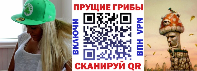 Псилоцибиновые грибы Psilocybe  наркошоп  Асино 