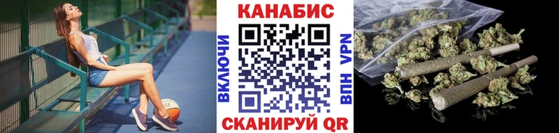 как найти   Асино  Каннабис White Widow 